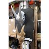 Image 1 : TWO MOUNTED GOAT SKULLS