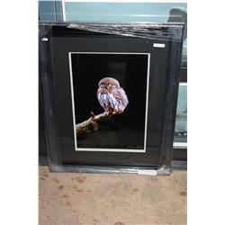 OWL BY KEITH FOCANK #23699