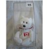 Image 1 : Ty Beanie Baby - Maple Bear in Case. - No Hang Tag