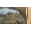 Image 2 : Glazier, Nancy, “Backlit Beauty ”, giclee print on paper, #368/950, 20”x 16”. Released 2011