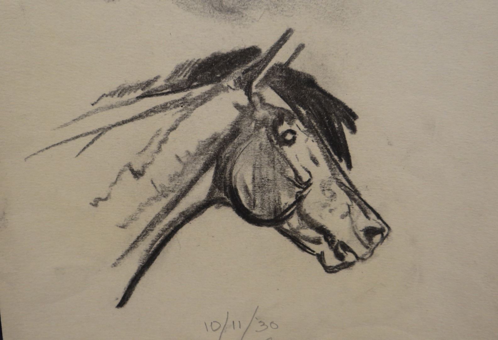 James Will Original Pencil Sketch Horse Head Signed To Virginia