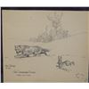 Image 2 : James, Will original pen & ink, The Christmas Spirit, Coyote and Rabbit, signed and dated, 1926, 5" 