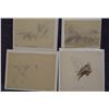 Image 1 : James, Will, 4 drawings, all unsigned, assorted sizes