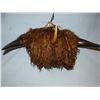 Bison horn hat rack