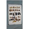Image 1 : Columbia River gem points, scrapers, bone awl and fossilized tooth. All found near Vantage, Washingt