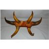 Steer horn hat rack