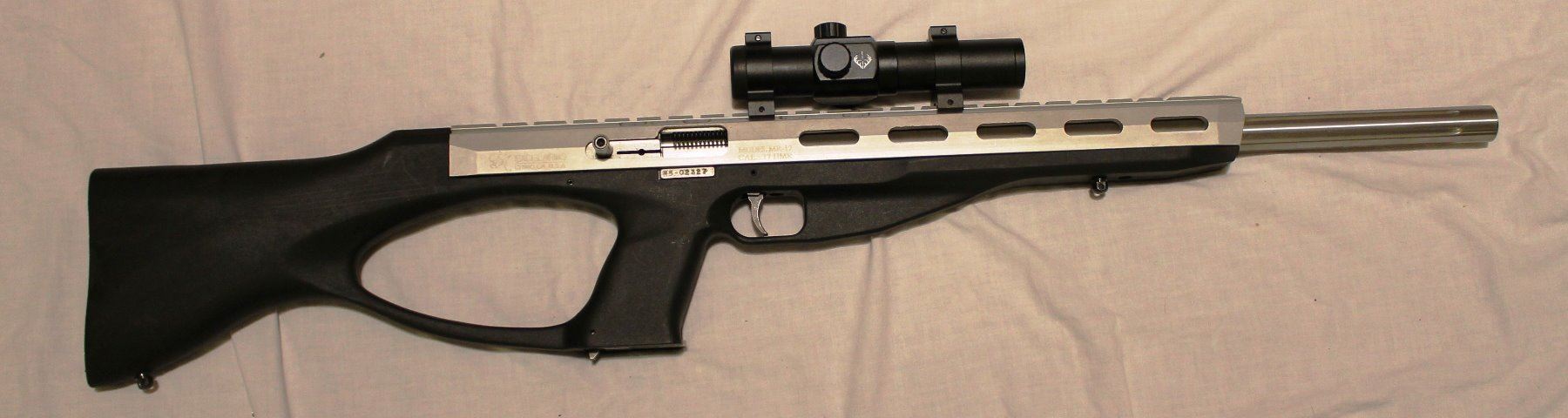Excel Arms Accelerator MR-17, .17 HMR, stainless, Bushnell scope
