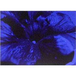 Ruperto Cabrera, Natasha Blue, Oil, Silkscreen, Zund UV Jet Print on Canvas, Signed verso