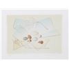 Image 1 : Mary Faulconer, Spring Hope, Lithograph