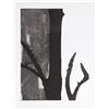Image 1 : Donald Newman, Temptation, Etching