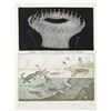 Image 1 : Tighe O'Donoghue, Bang - Apocotestatis Suite , Etching with Aquatint