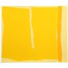 Image 1 : Raymond Parker,  15, Silkscreen