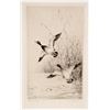 Image 1 : Henry Jackson Simpson, Leaving the Reeds, Etching