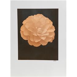 Jonathan Singer, White Dahlia (Orange) on Black, Digital Photograph