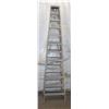 Image 1 : 12FT METAL LADDER