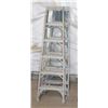Image 1 : PAIR OF 6FT METAL LADDERS