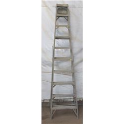 10FT METAL LADDER
