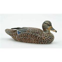 Lot #  518:  FINE CARVED AND PAINTED DUCK DECOY BY DOUGLAS BANE, ST. ALBANS, MAINE.