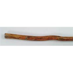Lot #  672:  CANE: SILVER TIPPED WOOD CANE.