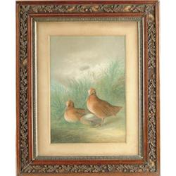 Lot #  1079:  BOWER (19th/20th C) WOODCOCK.