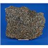 Image 1 : Sericho Pallasite Meteorite Slice
