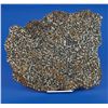 Image 2 : Sericho Pallasite Meteorite Slice