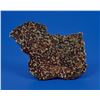 Image 2 : Sericho Pallasite Meteorite Slice