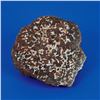 Image 1 : Sericho Pallasite Meteorite Matched End Cuts