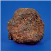 Image 2 : Sericho Pallasite Meteorite Matched End Cuts