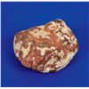 Image 1 : El Boludo Stone Meteorite Slice and Whole Individual