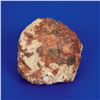 Image 2 : El Boludo Stone Meteorite Slice and Whole Individual