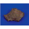 Image 1 : Canyon Diablo Iron Meteorite Partial Slice and Whole Individual