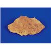 Image 2 : Northwest Africa Stone Diogenite Meteorite Slice