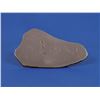 Image 2 : Gebel Kamil Iron Meteorite Slice and Whole Specimen