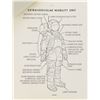 Image 2 : Jack King's Apollo 11 Press Kit
