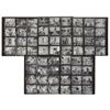 Image 1 : Apollo 12 Group of (5) Contact Sheets