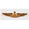Image 1 : Alan Bean's United Arab Emirates Captain's Wings