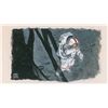 Image 2 : Edgar Mitchell and Ed Hengeveld Space Covers