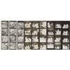 Image 1 : Apollo 17 Group of (3) Contact Sheets
