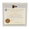 Image 1 : Space Shuttle Atlantis Flown Pin