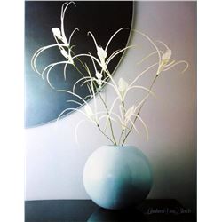 Lamberti-Van Blerck Floral In Vase Contemporary