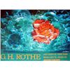 Image 2 : Gh Rothe Plate Signed 1977 Rose In Bubbles