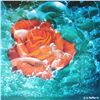 Image 3 : Gh Rothe Plate Signed 1977 Rose In Bubbles