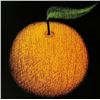 Image 2 : 1998 Plate Signed Fressinier Fruit Abstract