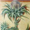 Image 3 : Cactus Sung 1998 Litho On Arches Printed In Canada