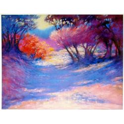 1998 D'Hooge Meras Landscape Colorful Abstract