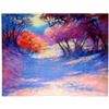 Image 1 : 1998 D'Hooge Meras Landscape Colorful Abstract