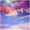 Image 3 : 1998 D'Hooge Meras Landscape Colorful Abstract