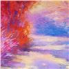 Image 2 : 1998 D'Hooge Meras Landscape Colorful Abstract