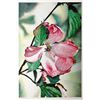 Image 2 : Hand Signed & Numbered 75/1000 Floral Print